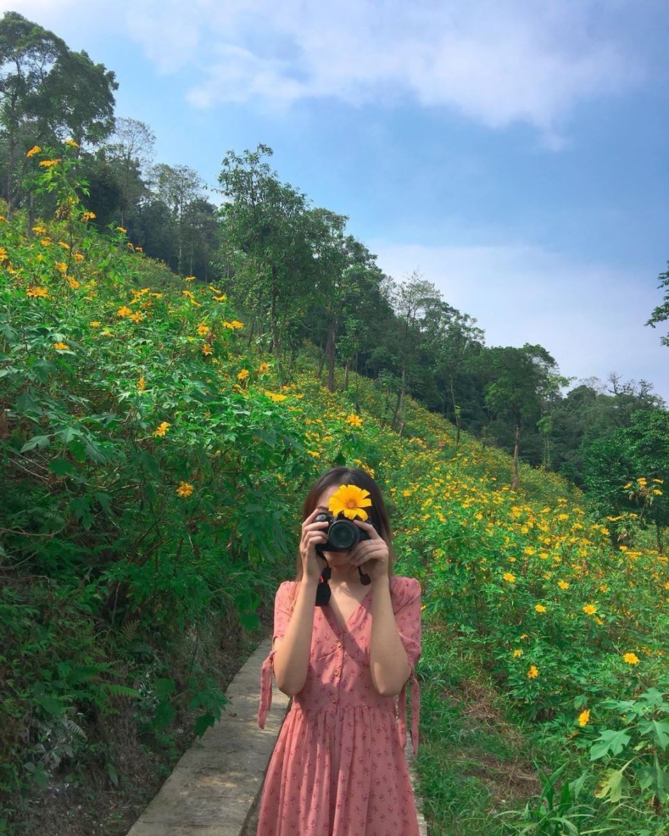 Ba Vì rực rỡ mùa hoa dã quỳ 2025: Du khách đổ về chiêm ngưỡng “biển vàng” giữa rừng thông Ba Vì rực rỡ mùa hoa dã quỳ 2025: Du khách đổ về chiêm ngưỡng “biển vàng” giữa rừng thông