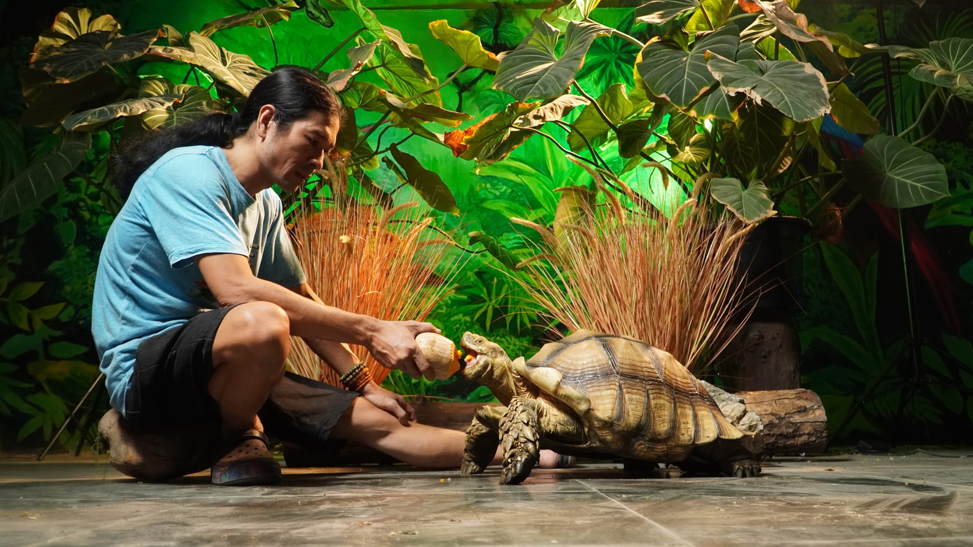 Người đàn ông Hà Nội nuôi thú cưng nặng 40kg, mỗi bữa ăn hết vài cân rau Người đàn ông Hà Nội nuôi thú cưng nặng 40kg, mỗi bữa ăn hết vài cân rau