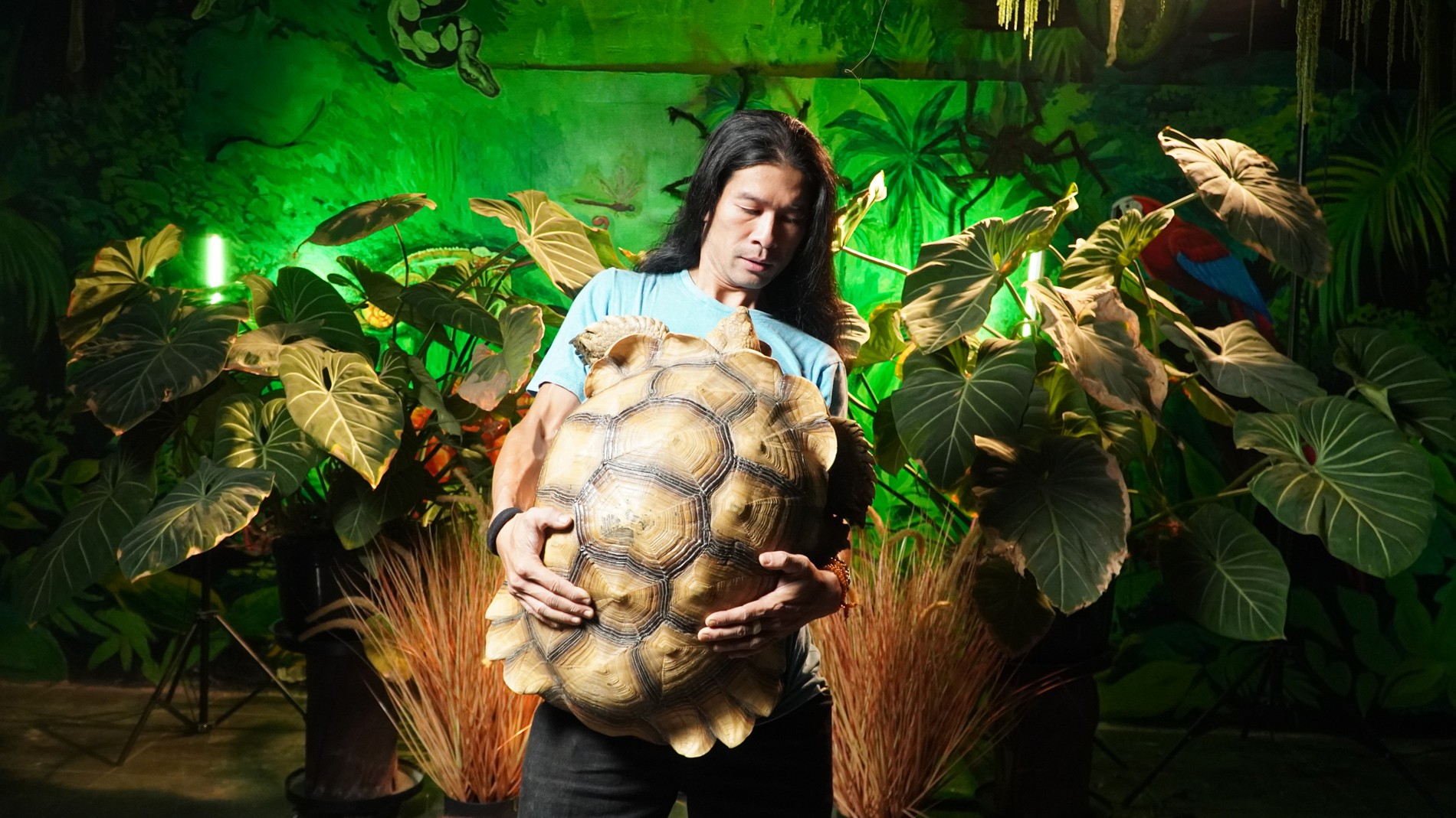 Người đàn ông Hà Nội nuôi thú cưng nặng 40kg, mỗi bữa ăn hết vài cân rau Người đàn ông Hà Nội nuôi thú cưng nặng 40kg, mỗi bữa ăn hết vài cân rau