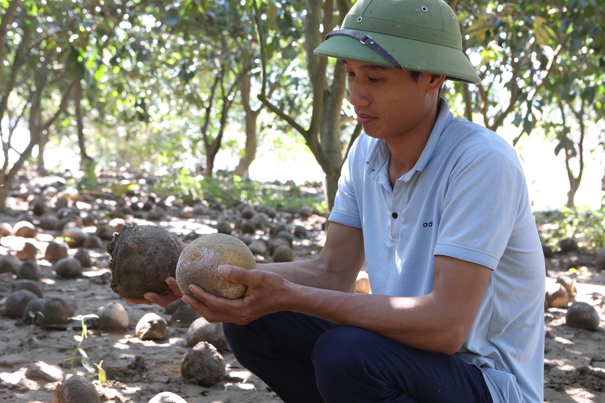 Hơn 300 ha bưởi, cam bị ngập úng, nông dân Tuyên Quang xót xa nhìn vườn cây tiêu điều Hơn 300 ha bưởi, cam bị ngập úng, nông dân Tuyên Quang xót xa nhìn vườn cây tiêu điều