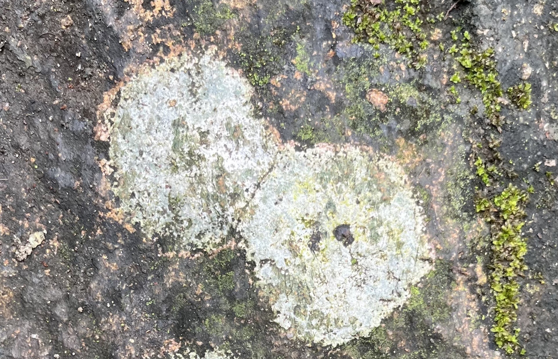 Đức Trần Nhân Tông và đá hai màu ở Ngọa Vân