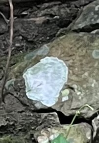 Đức Trần Nhân Tông và đá hai màu ở Ngọa Vân Đức Trần Nhân Tông và đá hai màu ở Ngọa Vân