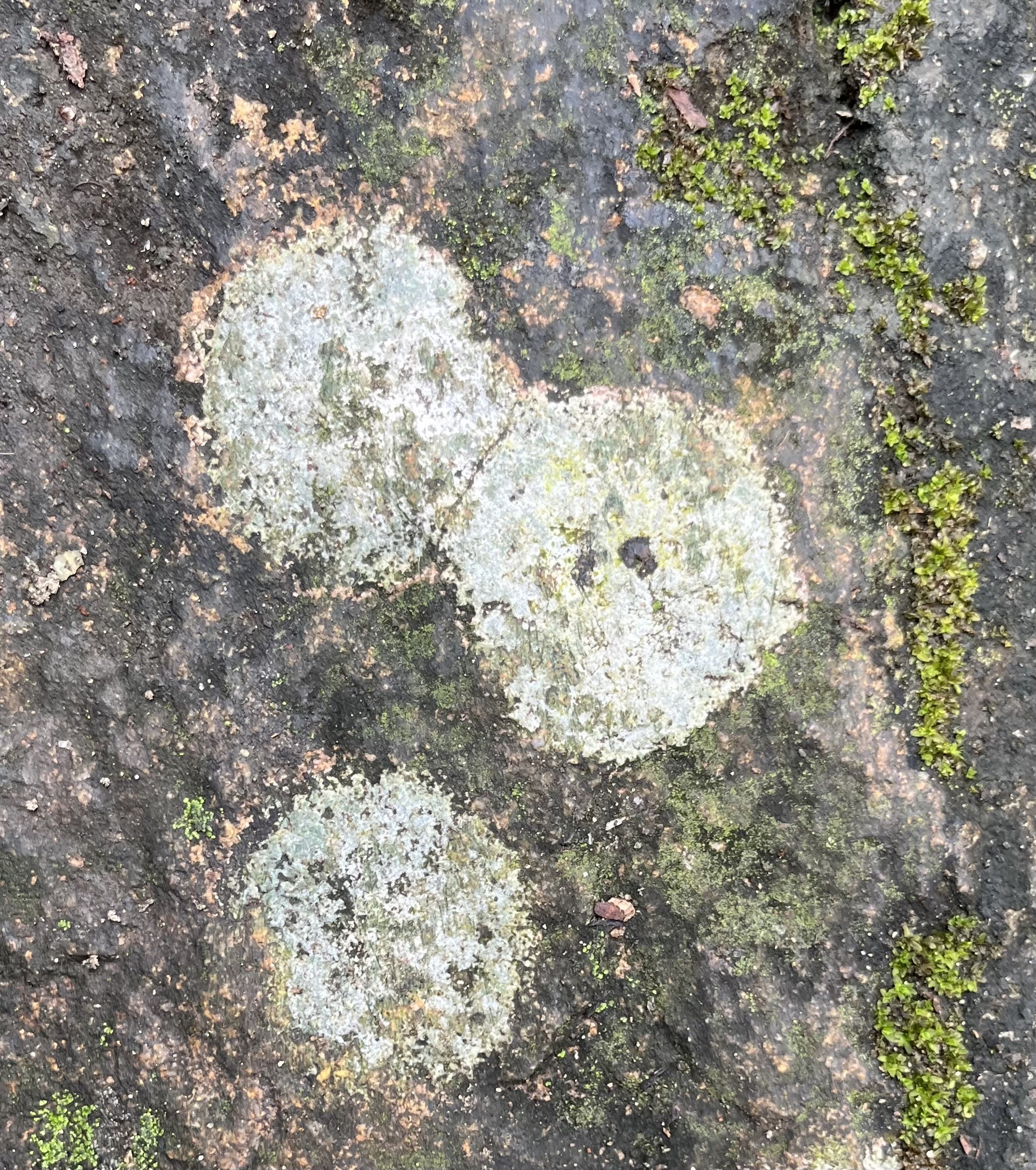 Đức Trần Nhân Tông và đá hai màu ở Ngọa Vân Đức Trần Nhân Tông và đá hai màu ở Ngọa Vân