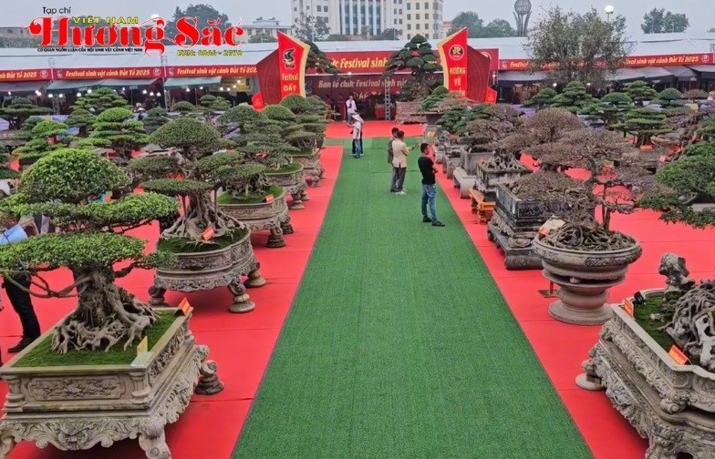 Hội SVC và làm vườn tỉnh Phú Thọ sẵn sàng cho buổi khai mạc Festival SVC Đất Tổ Phú Thọ 2025