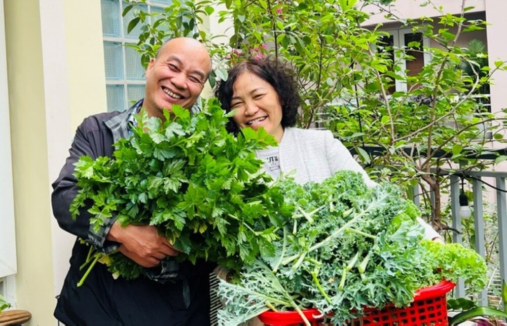 Chi 100 triệu, bác sĩ Hà Nội trồng rau nuôi cá trên sân thượng, thu hoạch quanh năm