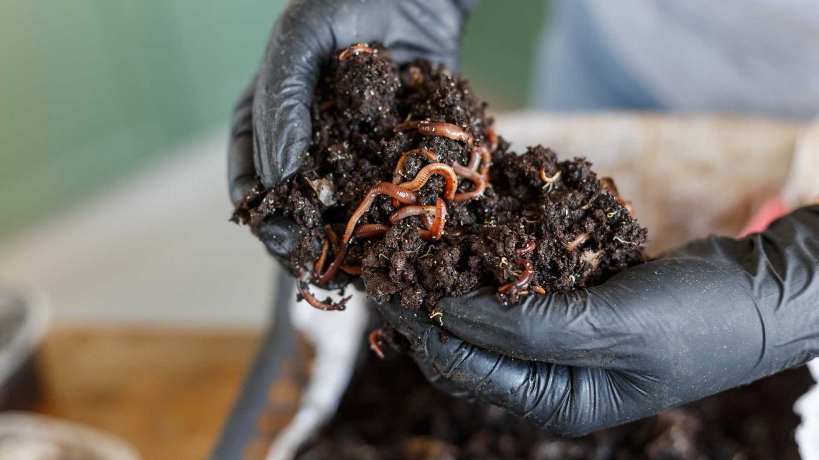 Biến phế phẩm nông nghiệp thành “vàng nâu”, nông dân Đồng Tháp thu tiền tỷ mỗi năm