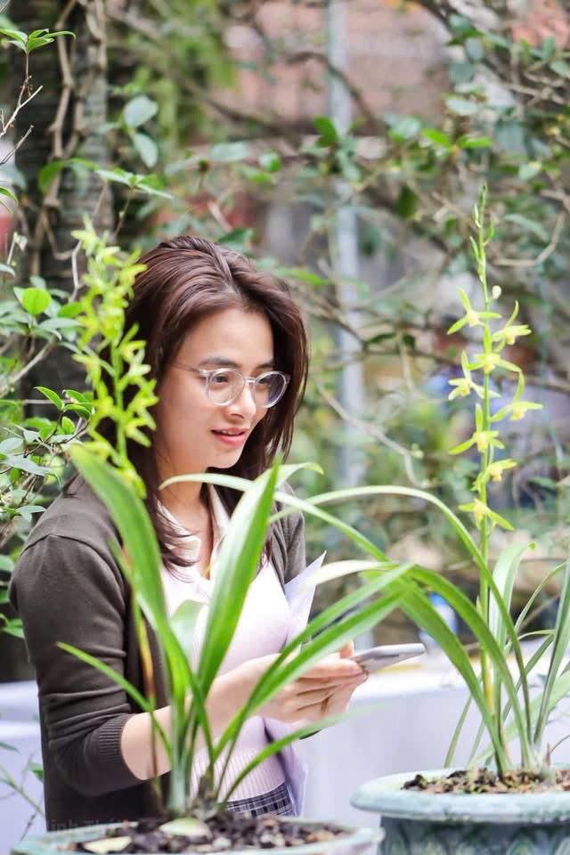 Hội Địa lan Thăng Long: Khẳng định vị thế trong phong trào sinh vật cảnh quốc gia Hội Địa lan Thăng Long: Khẳng định vị thế trong phong trào sinh vật cảnh quốc gia