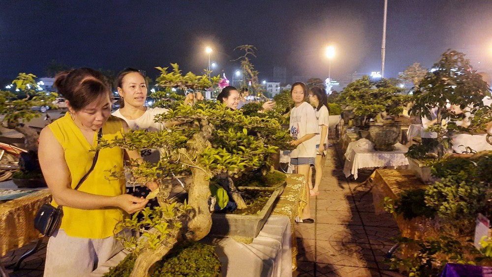 Các triển lãm cây cảnh trên địa bàn tỉnh thu hút hàng nghìn lượt khách tham quan