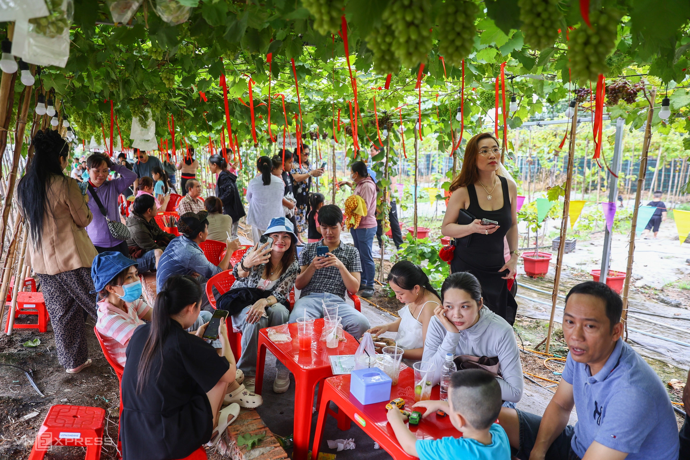 Quán cà phê giữa vườn nho 2.000 m² ở TP HCM gây sốt, đông nghịt khách đến check-in Quán cà phê giữa vườn nho 2.000 m² ở TP HCM gây sốt, đông nghịt khách đến check-in