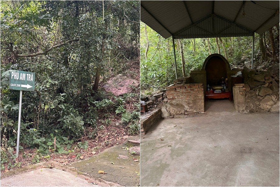 Phủ Am Trà: Hương trà ngàn năm và văn hóa trà Trúc Lâm