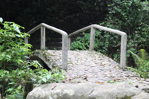 Phủ Am Trà: Hương trà ngàn năm và văn hóa trà Trúc Lâm