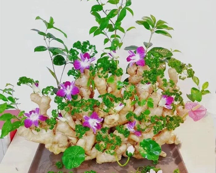 Cách trồng gừng bonsai tại văn phòng: Đơn giản, hợp trend và tốt cho sức khỏe