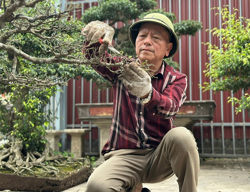 Nghệ nhân Hội SVC Việt Nam lên tiếng về “cơn sốt muội hồng”