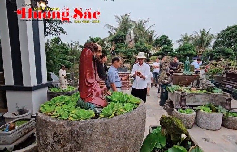 Câu lạc bộ Bàng La ở Hải Phòng trưng bày cây cảnh lần thứ 3 năm 2025