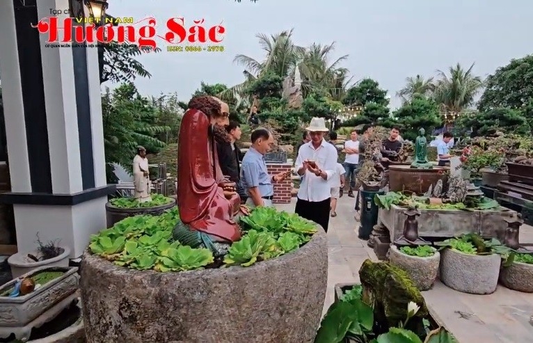 Câu lạc bộ Bàng La ở Hải Phòng trưng bày cây cảnh lần thứ 3 năm 2025