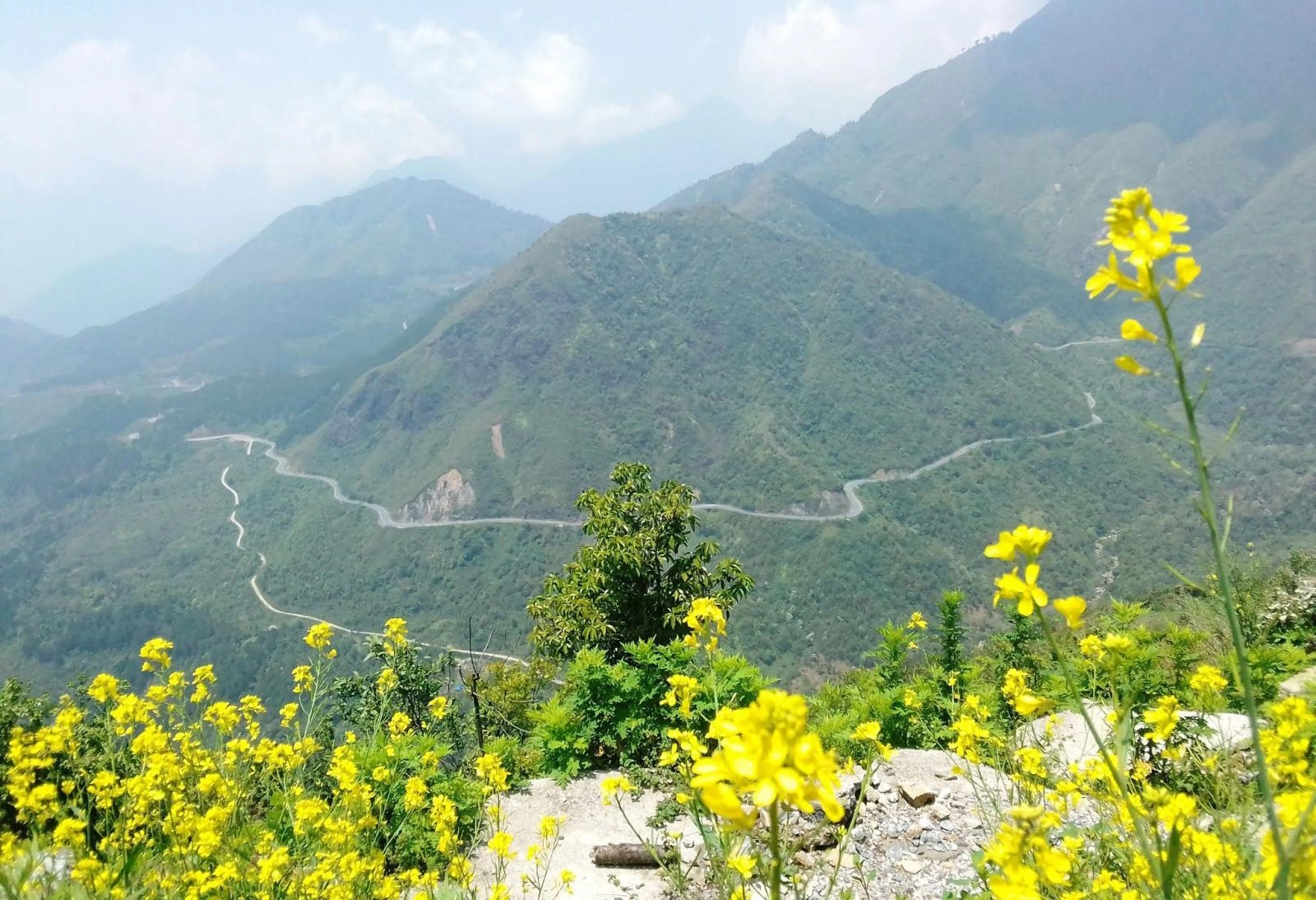 Lai Châu khai thác lợi thế rừng để phát triển du lịch sinh thái và thể thao mạo hiểm Lai Châu khai thác lợi thế rừng để phát triển du lịch sinh thái và thể thao mạo hiểm