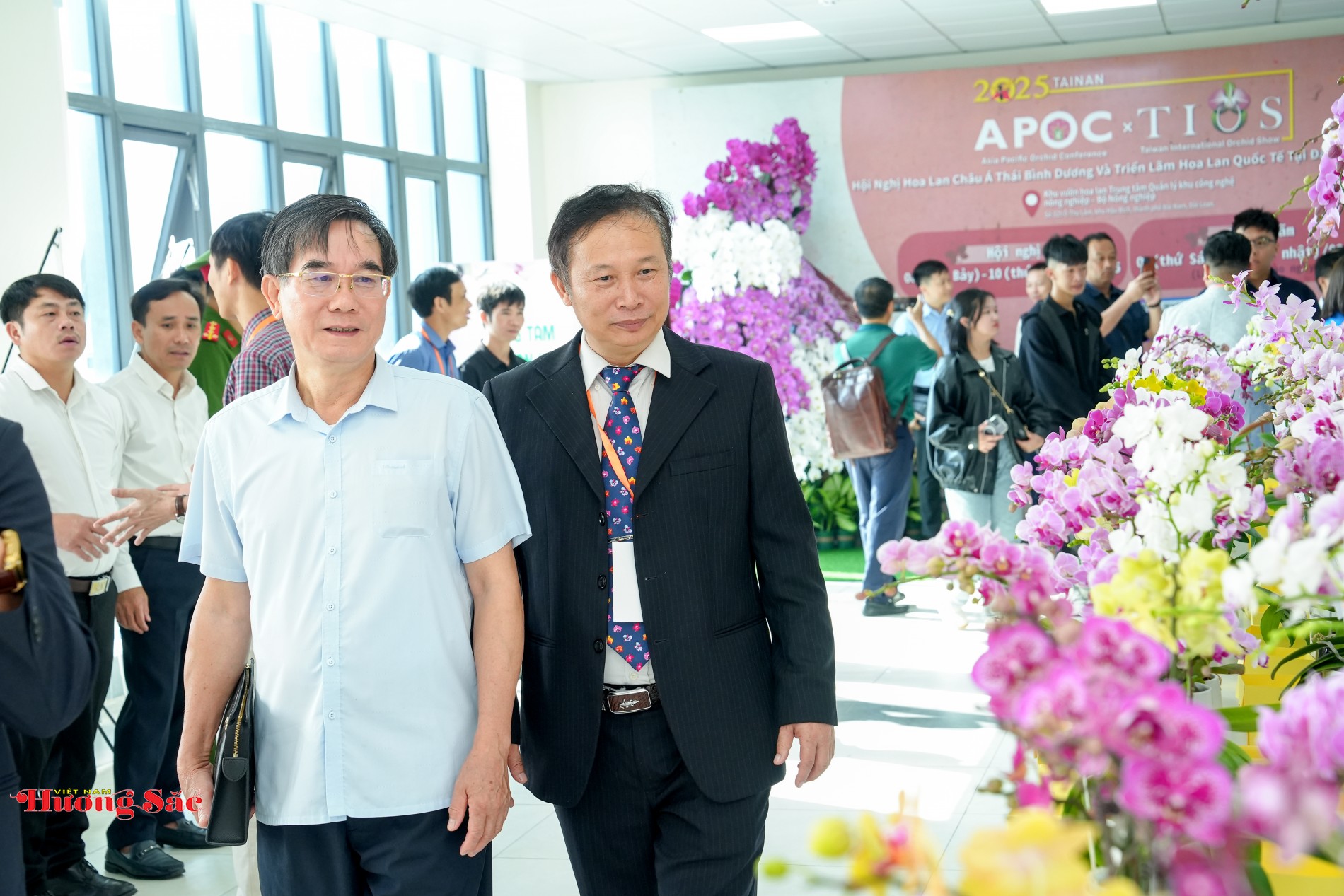 Lan hồ điệp Việt Nam: Bước tiến mới trong nhân giống và điều khiển ra hoa