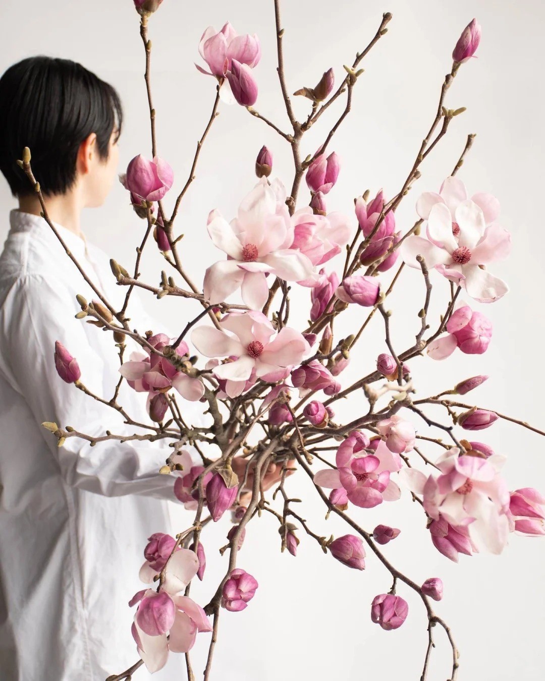 Mộc lan “đánh thức xuân”: Cành khô giá triệu đồng nở rộ, chơi được cả tháng nếu chăm đúng cách Mộc lan “đánh thức xuân”: Cành khô giá triệu đồng nở rộ, chơi được cả tháng nếu chăm đúng cách