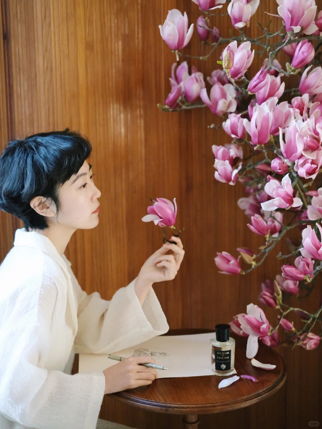 Mộc lan “đánh thức xuân”: Cành khô giá triệu đồng nở rộ, chơi được cả tháng nếu chăm đúng cách Mộc lan “đánh thức xuân”: Cành khô giá triệu đồng nở rộ, chơi được cả tháng nếu chăm đúng cách