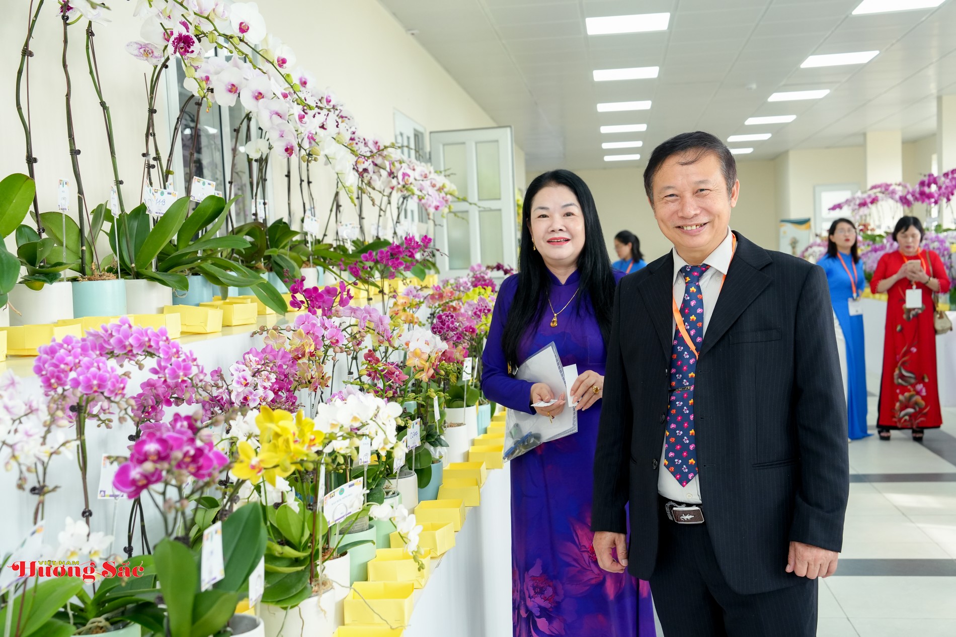 Làm chủ công nghệ lan hồ điệp Việt Nam: Trao đổi cùng PGS.TS. Đặng Văn Đông