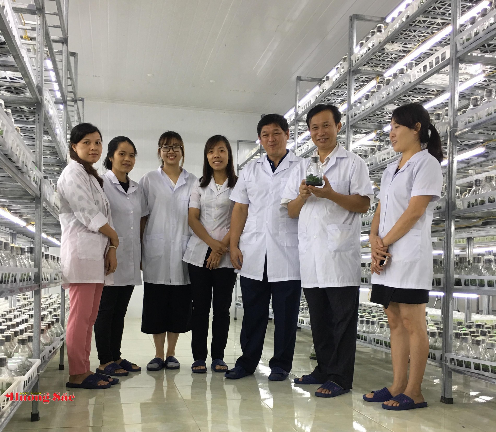 Làm chủ công nghệ lan hồ điệp Việt Nam: Trao đổi cùng PGS.TS. Đặng Văn Đông