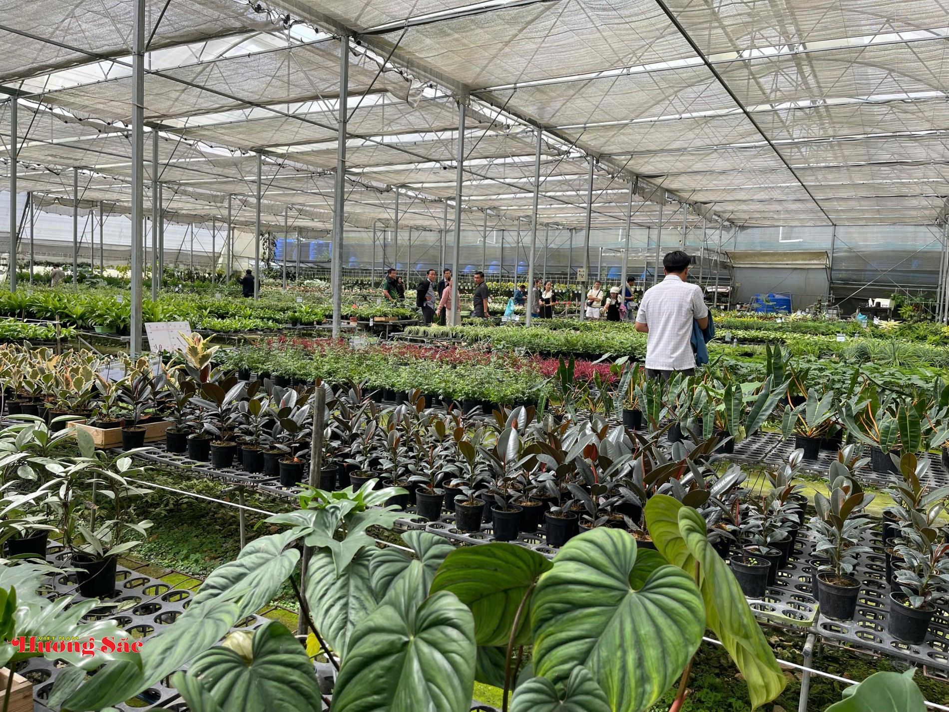 Sắc xuân trên những cánh đồng thông minh Sắc xuân trên những cánh đồng thông minh
