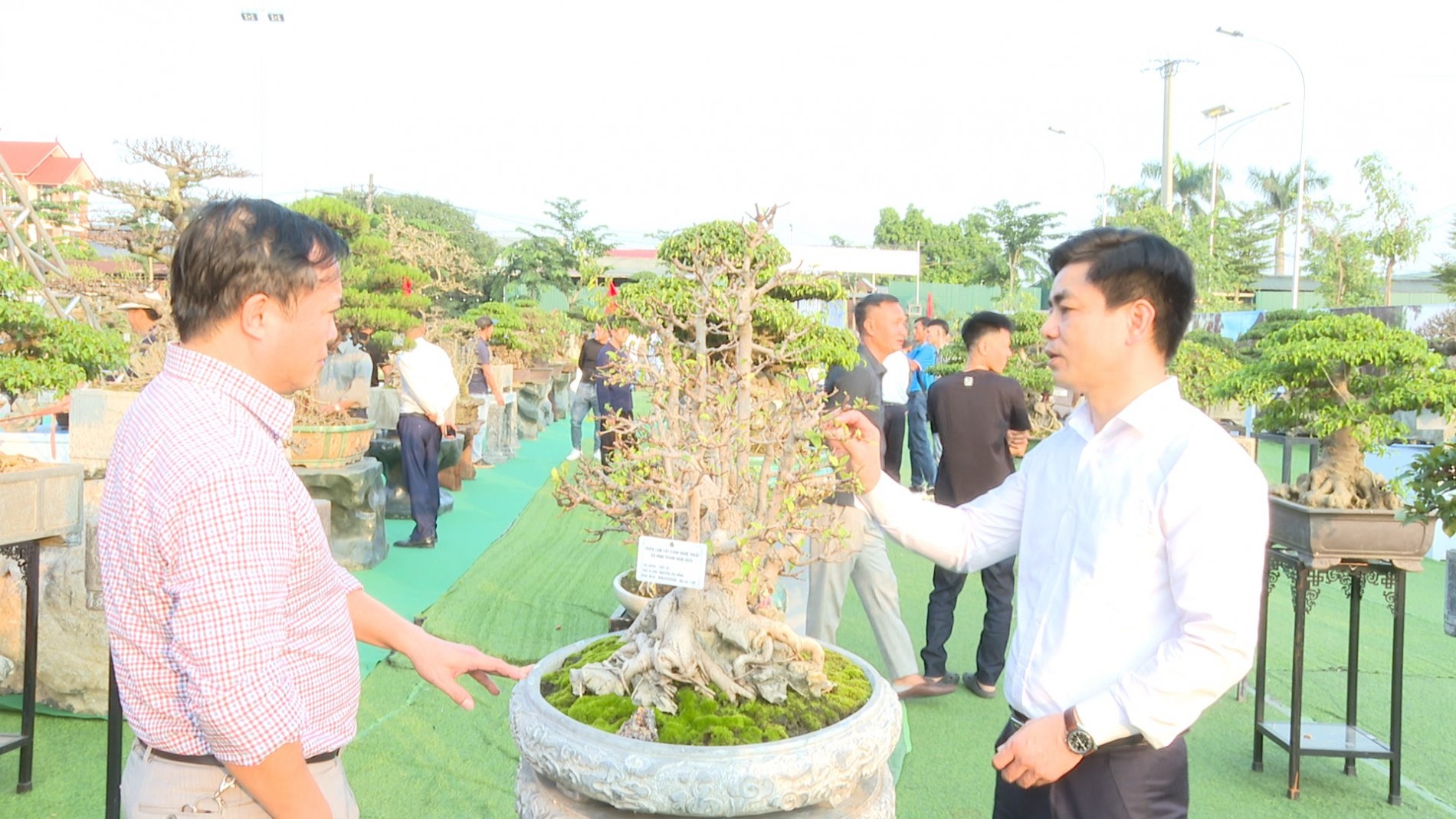 Triển lãm và ra mắt CLB Cây cảnh nghệ thuật xã Vĩnh Thanh