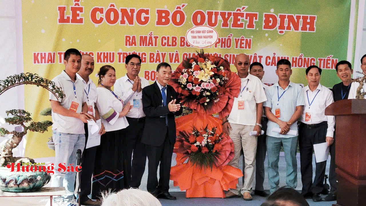 CLB Bonsai Phổ Yên chính thức thành lập, tạo không gian gắn kết cộng đồng yêu cây cảnh và nghệ thuật truyền thống