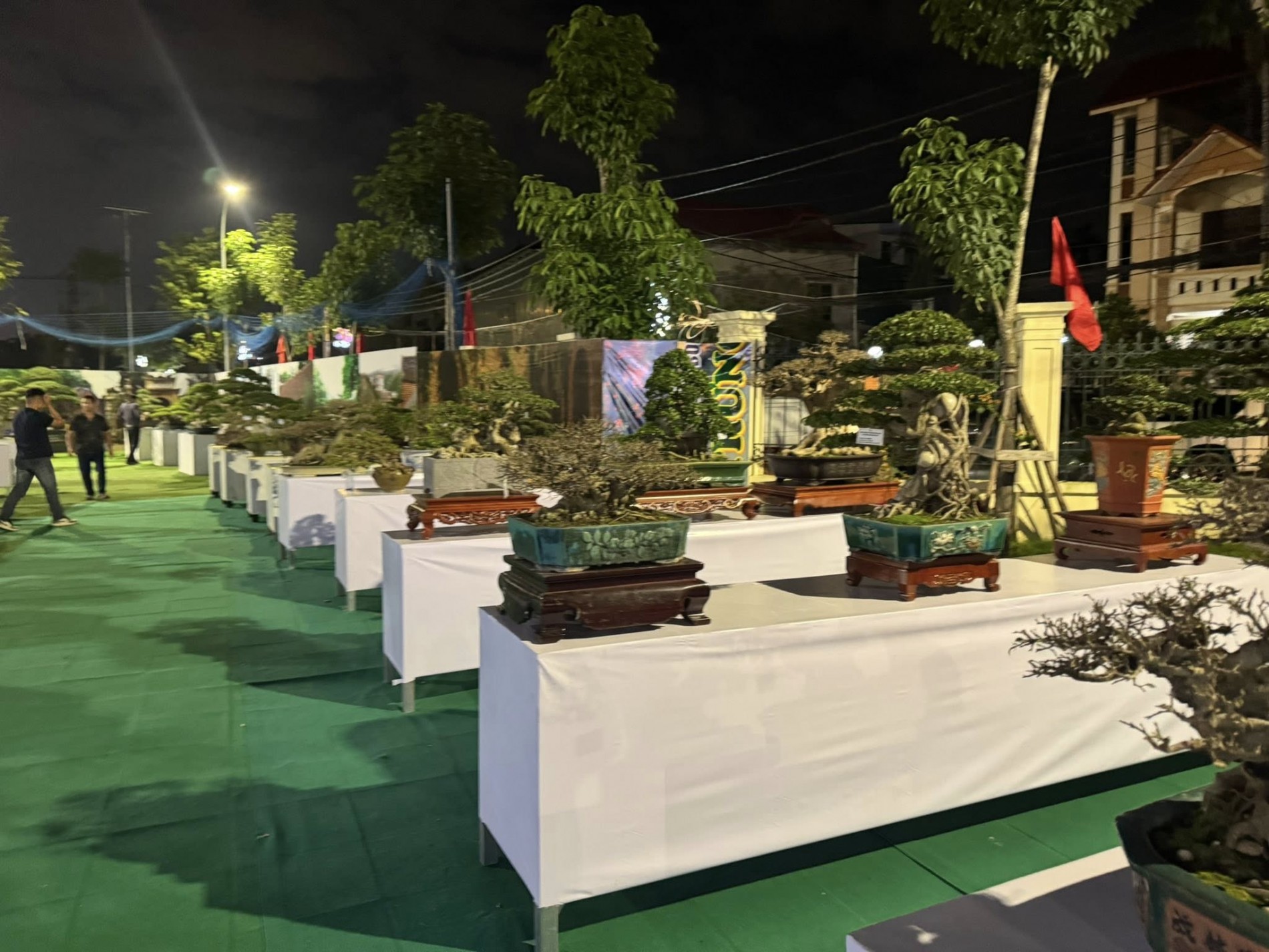 Triển lãm và ra mắt CLB Cây cảnh nghệ thuật xã Vĩnh Thanh