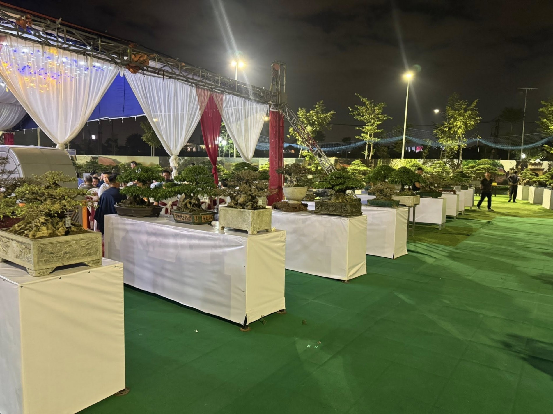 Triển lãm và ra mắt CLB Cây cảnh nghệ thuật xã Vĩnh Thanh