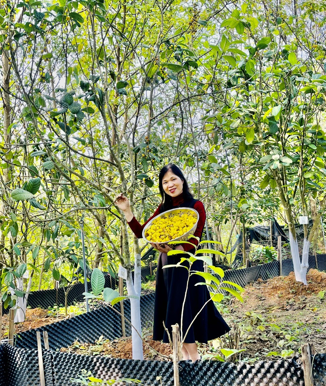 Theo bước chân rừng: Người phụ nữ kiến tạo mô hình đa tầng dược liệu bền vững Theo bước chân rừng: Người phụ nữ kiến tạo mô hình đa tầng dược liệu bền vững