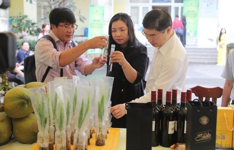 ĐBSCL kỳ vọng ngành dừa bứt phá nhờ công nghệ và chế biến sâu