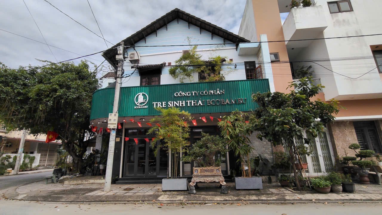 Đột phá vật liệu bền gấp 3 lần thép: Câu chuyện về loại tre có độ đàn hồi kỳ diệu Đột phá vật liệu bền gấp 3 lần thép: Câu chuyện về loại tre có độ đàn hồi kỳ diệu