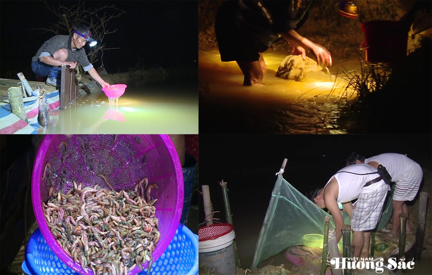 Đặc sản Hà Tĩnh: nhìn thì