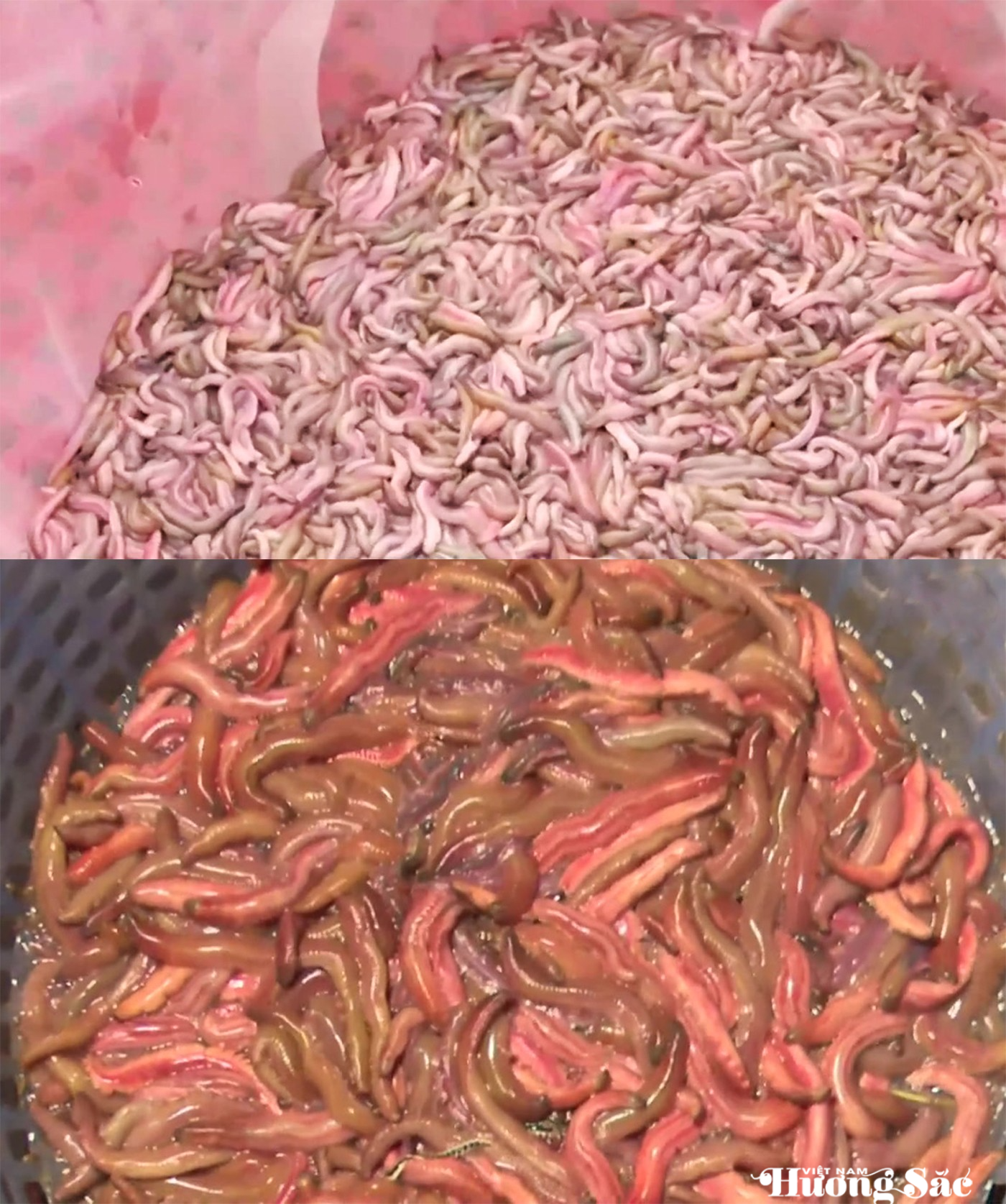 Đặc sản Hà Tĩnh: nhìn thì