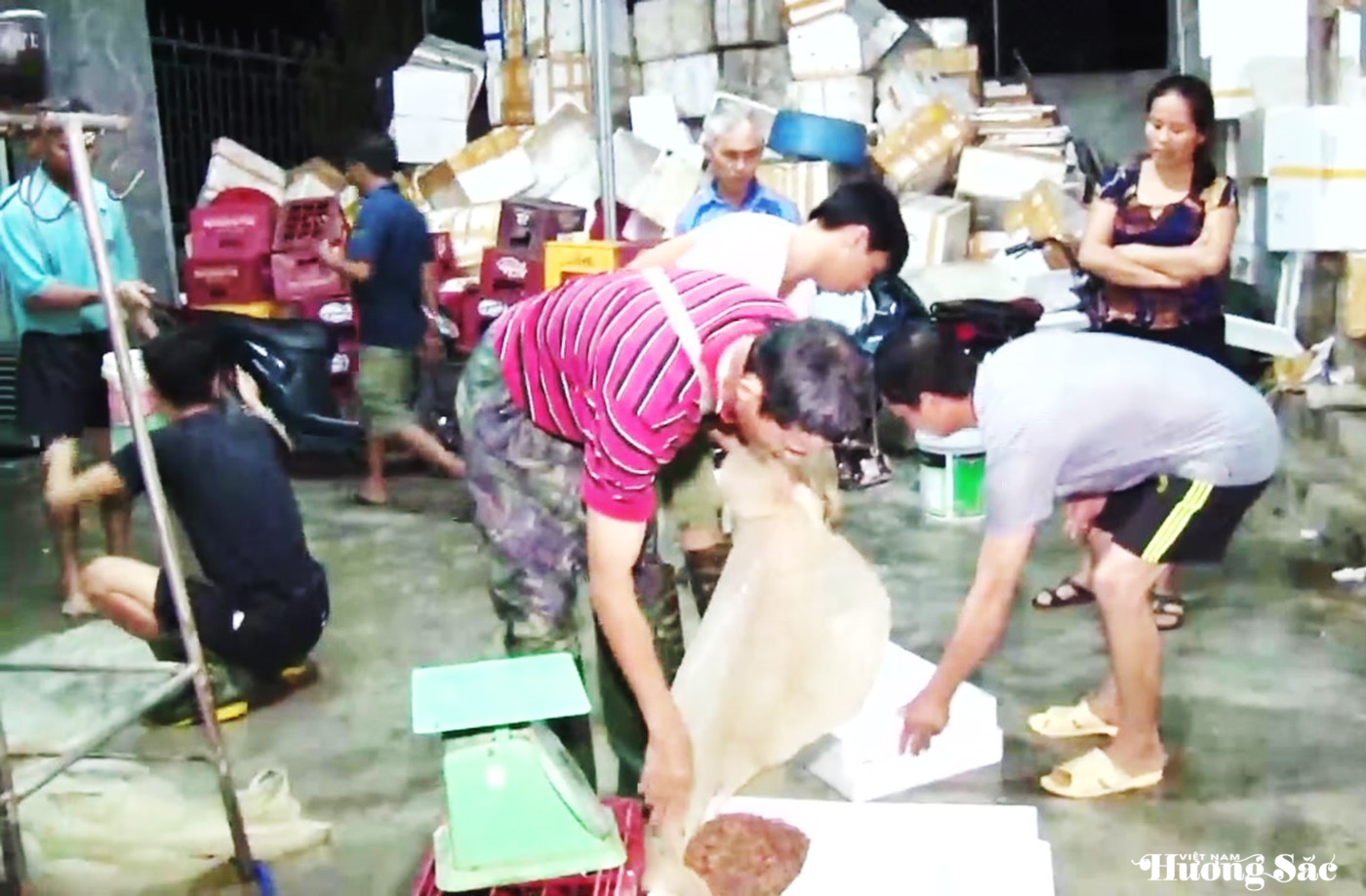 Đặc sản Hà Tĩnh: nhìn thì