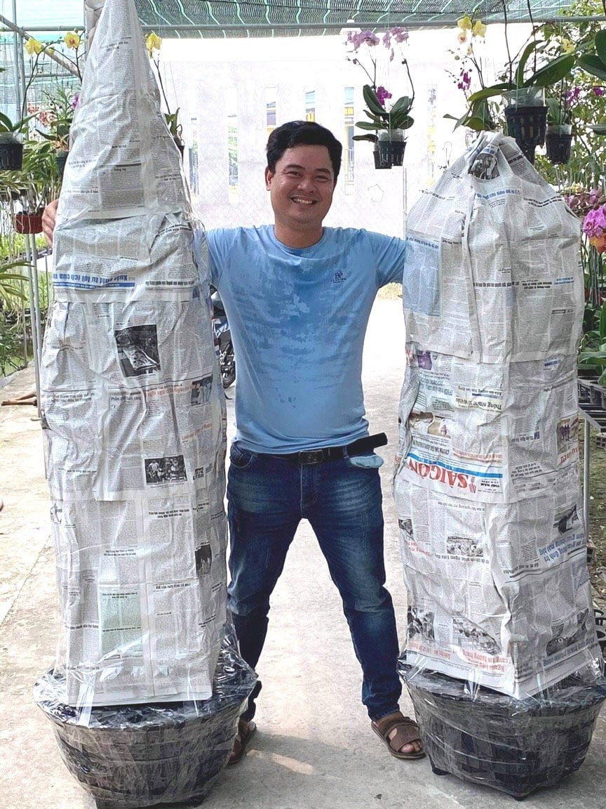 Bí quyết của nông dân Long An biến vườn lan Dendro Thái thành “mỏ vàng” tiền tỷ