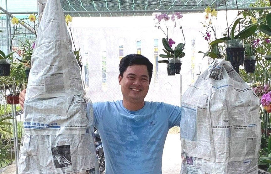 Bí quyết của nông dân Tây Ninh biến vườn lan Dendro Thái thành “mỏ vàng” tiền tỷ