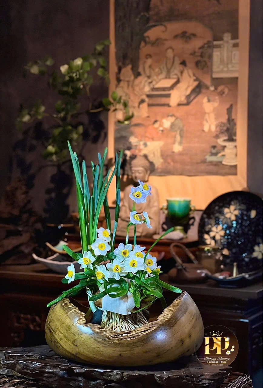 Người đánh thức vẻ đẹp sắc hương đạm nhã của hoa Thủy Tiên Người đánh thức vẻ đẹp sắc hương đạm nhã của hoa Thủy Tiên