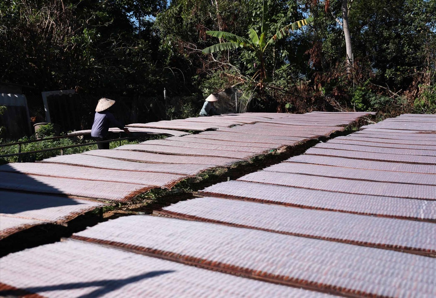 Miến dong Bình Lư – Làng nghề Tây Bắc giữa nhịp sống số hóa