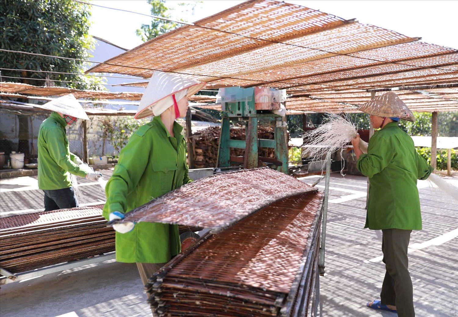 Miến dong Bình Lư – Làng nghề Tây Bắc giữa nhịp sống số hóa