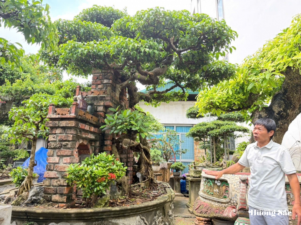 Nhà vườn Phúc Tâm: Hành trình 16 năm kiến tạo tác phẩm “Theo dòng lịch sử”