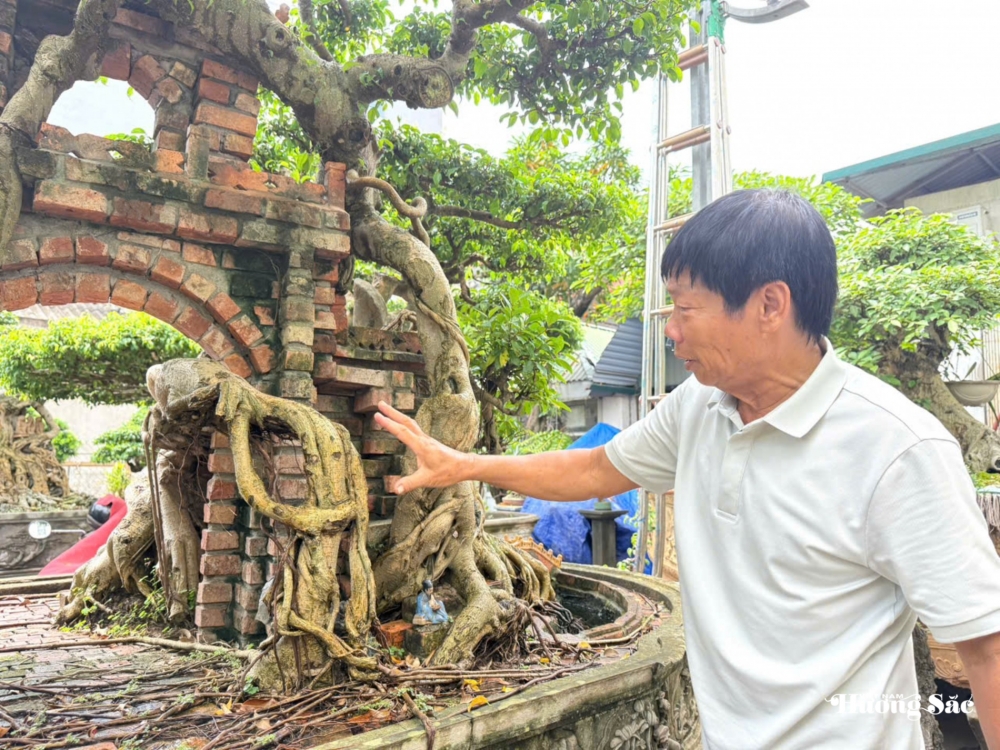 Nhà vườn Phúc Tâm: Hành trình 16 năm kiến tạo tác phẩm “Theo dòng lịch sử”