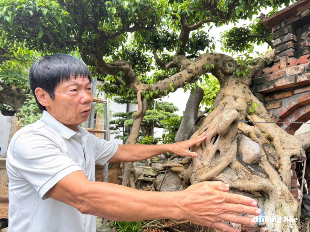 Nhà vườn Phúc Tâm: Hành trình 16 năm kiến tạo tác phẩm “Theo dòng lịch sử”