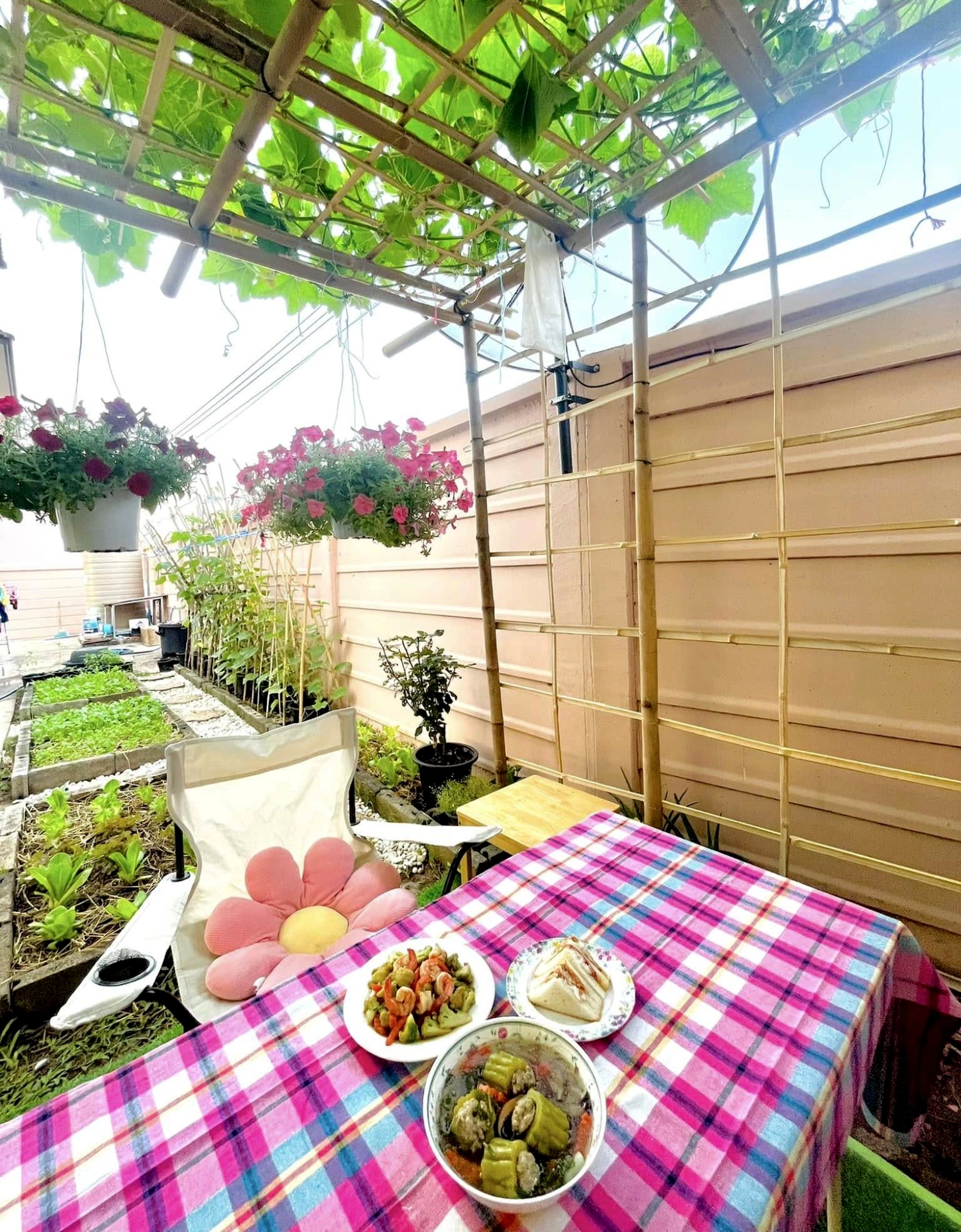 Bà mẹ Bắc Ninh biến sân thượng 100 m² thành “siêu thị rau sạch” giữa mùa bão giá