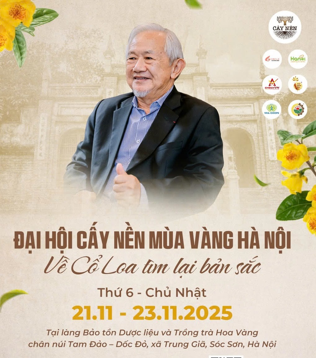 Cấy Nền Mùa Vàng 2025: Hành trình về Cổ Loa tìm lại bản sắc Việt Cấy Nền Mùa Vàng 2025: Hành trình về Cổ Loa tìm lại bản sắc Việt