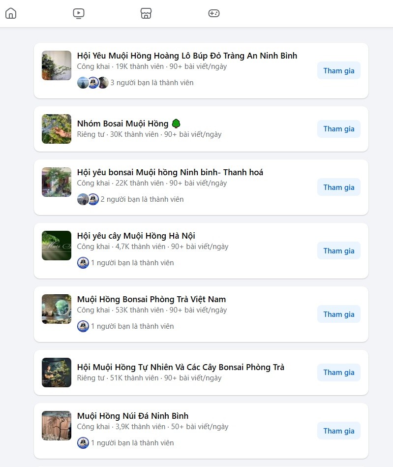 Tăng cường trách nhiệm quản lý rừng trước tình trạng khai thác trái phép cây Muội Hồng tại Ninh Bình