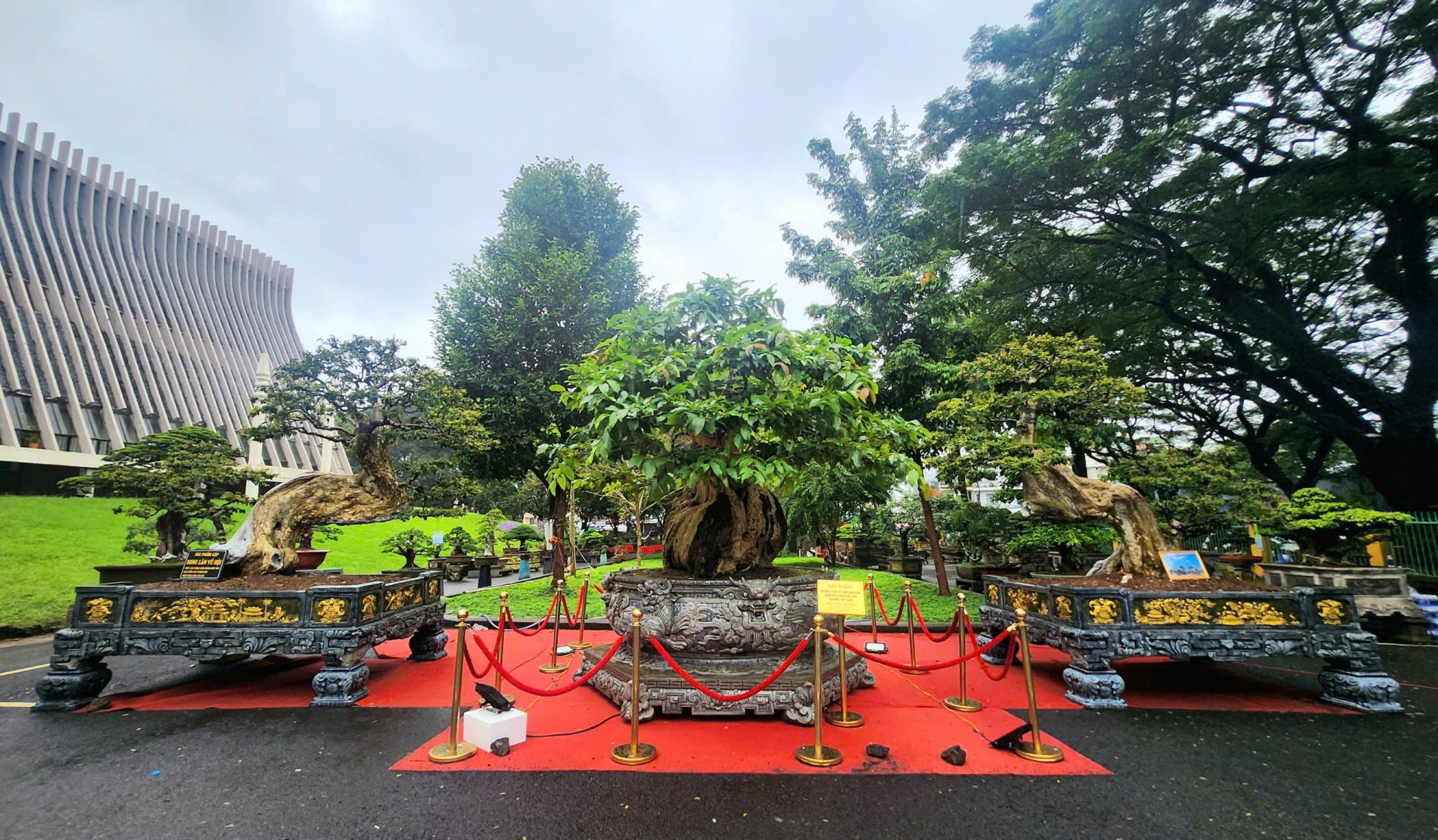 Khai mạc Triển lãm và Hội thi Sinh vật cảnh – Giống cây trồng Đắk Lắk 2025 Khai mạc Triển lãm và Hội thi Sinh vật cảnh – Giống cây trồng Đắk Lắk 2025