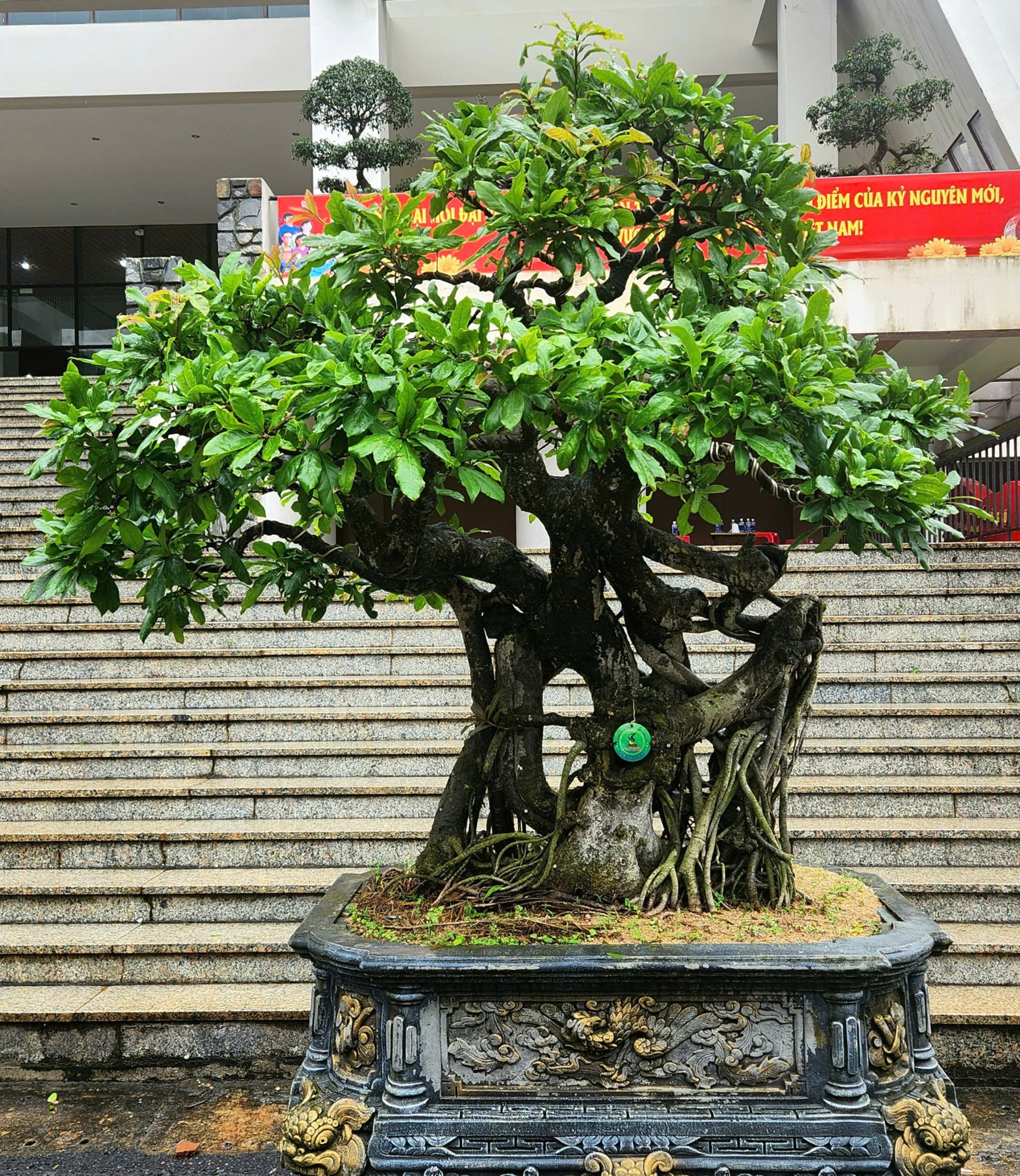 Khai mạc Triển lãm và Hội thi Sinh vật cảnh – Giống cây trồng Đắk Lắk 2025 Khai mạc Triển lãm và Hội thi Sinh vật cảnh – Giống cây trồng Đắk Lắk 2025