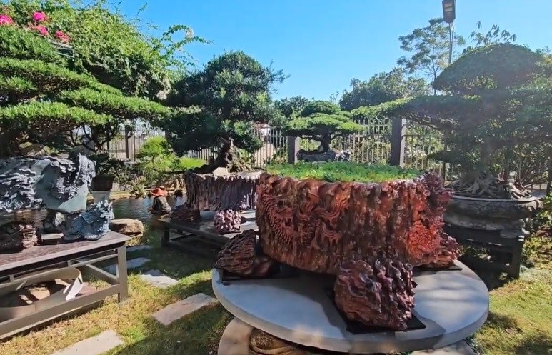 Thăm vườn cảnh An Tây, phường Chu Văn An, Hải Phòng